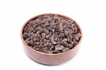 morel-mushroom-organic morel-mushroom-organic