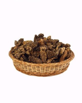 buy-morels-with-tail morels-wth-tail